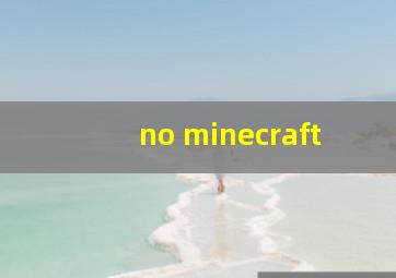 no minecraft